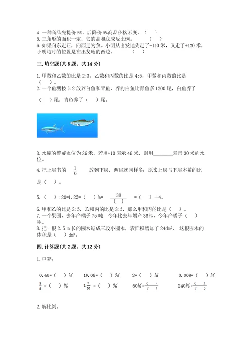 三门峡市小升初数学测试卷完整版