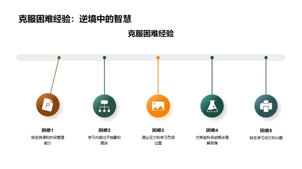 二年级学习之旅