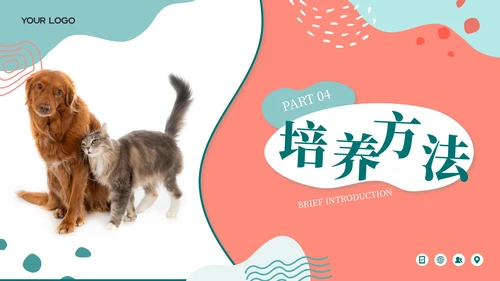 莫兰迪色卡通风宠物饲养心得经验分享PPT模板