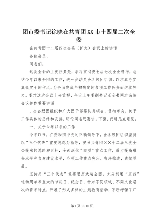 团市委书记徐晓在共青团XX市十四届二次全委 (5).docx