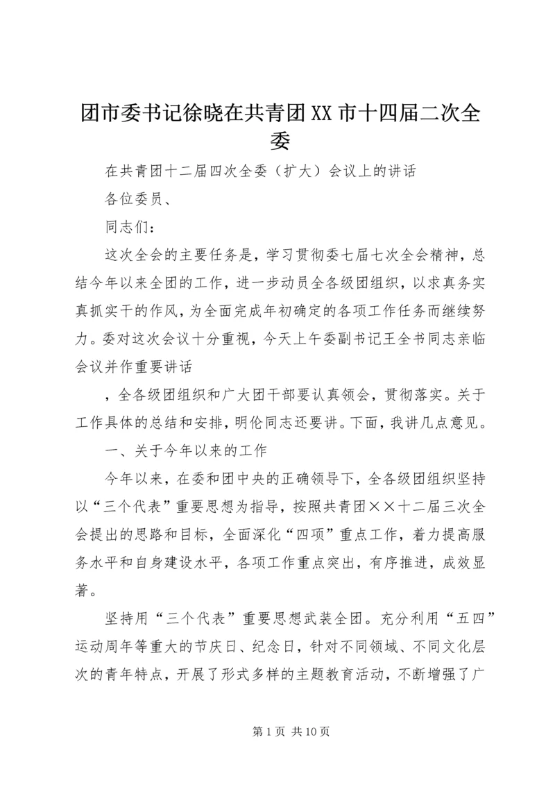 团市委书记徐晓在共青团XX市十四届二次全委 (5).docx