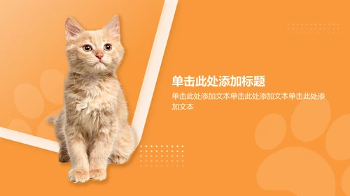 橙色渐变风可爱猫咪图集通用模板PPT模板