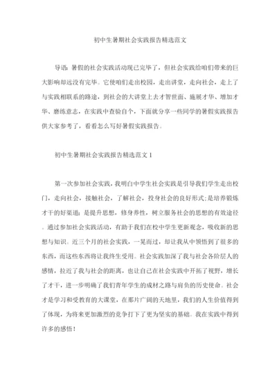 初中生暑期社会实践报告范文.docx