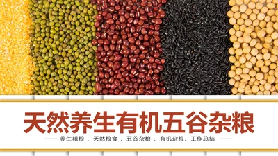 时尚有机生态五谷杂粮粗粮王健康养生PPT模板