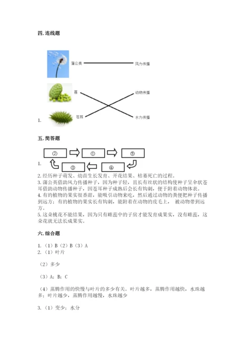 教科版四年级下册科学第一单元《植物的生长变化》测试卷带答案.docx
