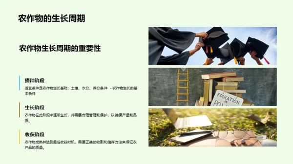 农业技术创新与应用