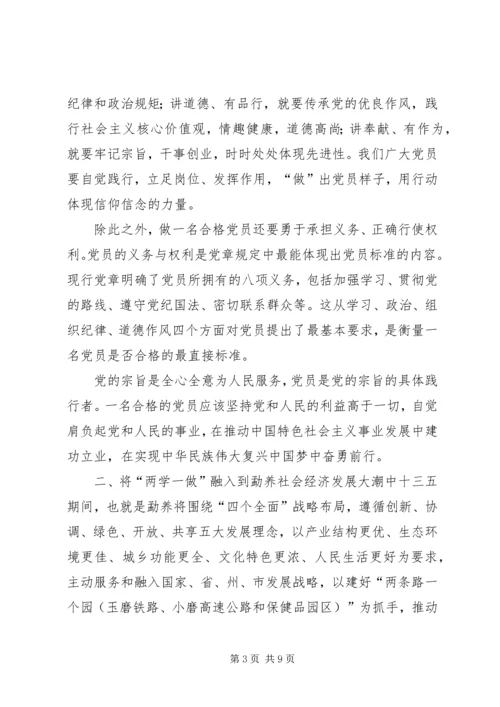 第一书记,两学一做党课 (4).docx