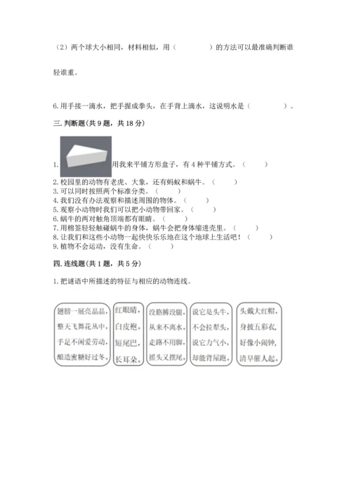 教科版一年级下册科学期末测试卷及参考答案【基础题】.docx