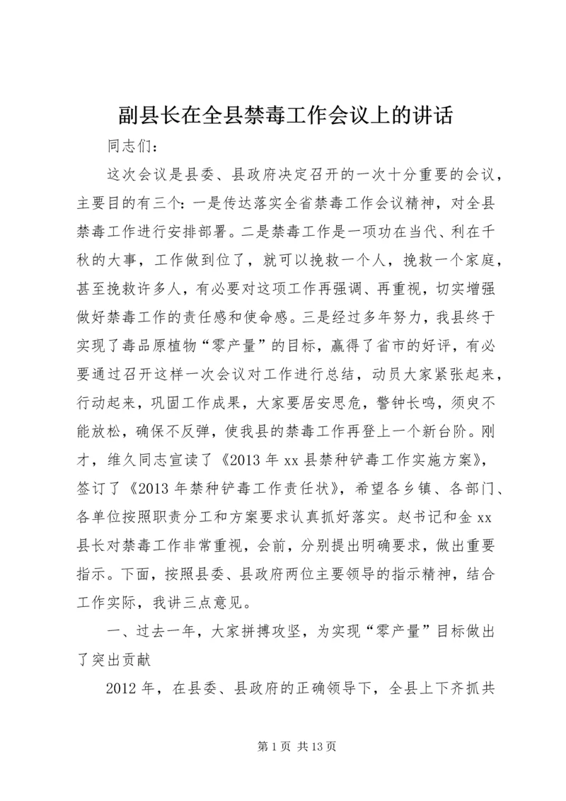 副县长在全县禁毒工作会议上的讲话_1.docx