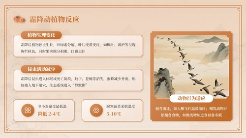 棕色中国风霜降节气介绍PPT模板