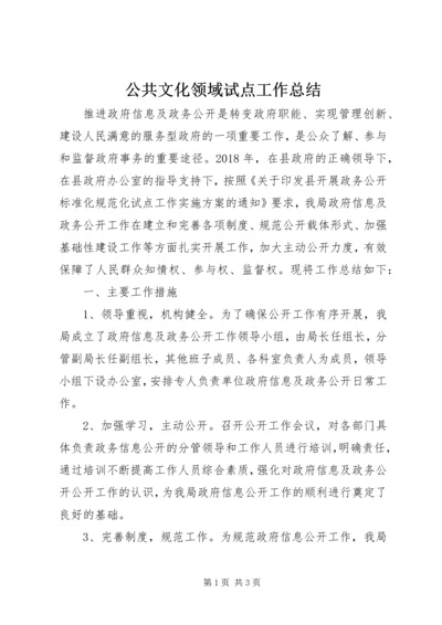 公共文化领域试点工作总结.docx