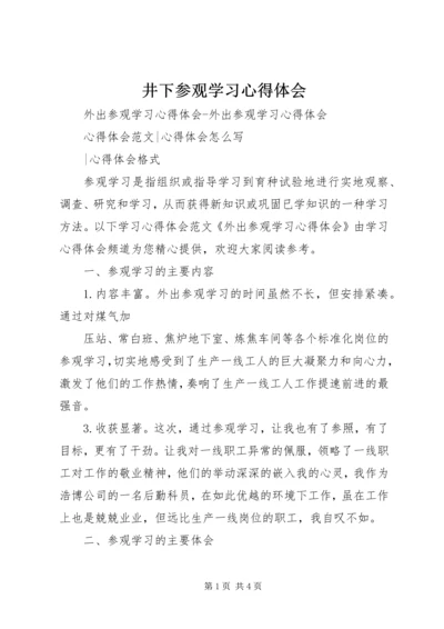 井下参观学习心得体会_2.docx