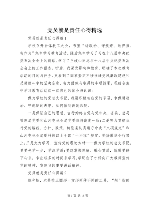 党员就是责任心得精选.docx