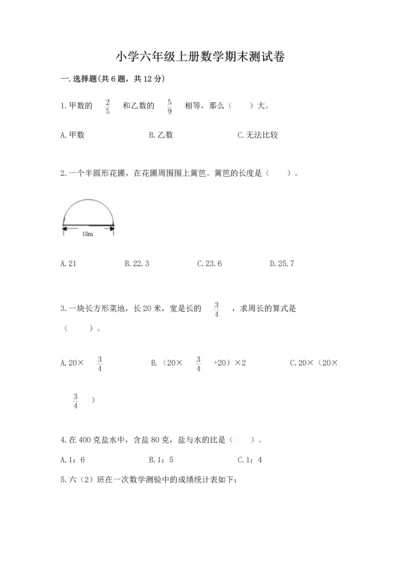 小学六年级上册数学期末测试卷附完整答案【名师系列】.docx