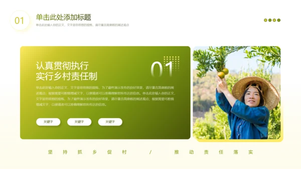 乡村振兴责任制实施办法通用PPT模板