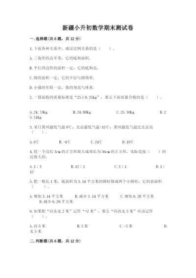 新疆小升初数学期末测试卷汇编.docx