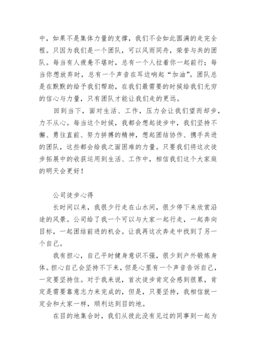 徒步行走活动方案及流程(四篇).docx