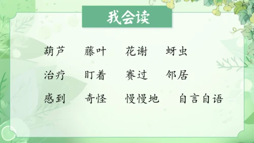 14.《我要的是葫芦》第2课时 课件
