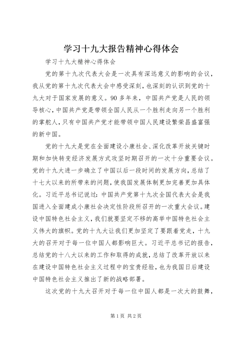 学习十九大报告精神心得体会 (20).docx