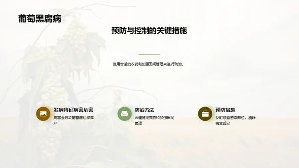 葡萄种植成功秘笈