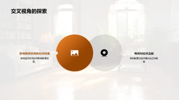 经济学新视角