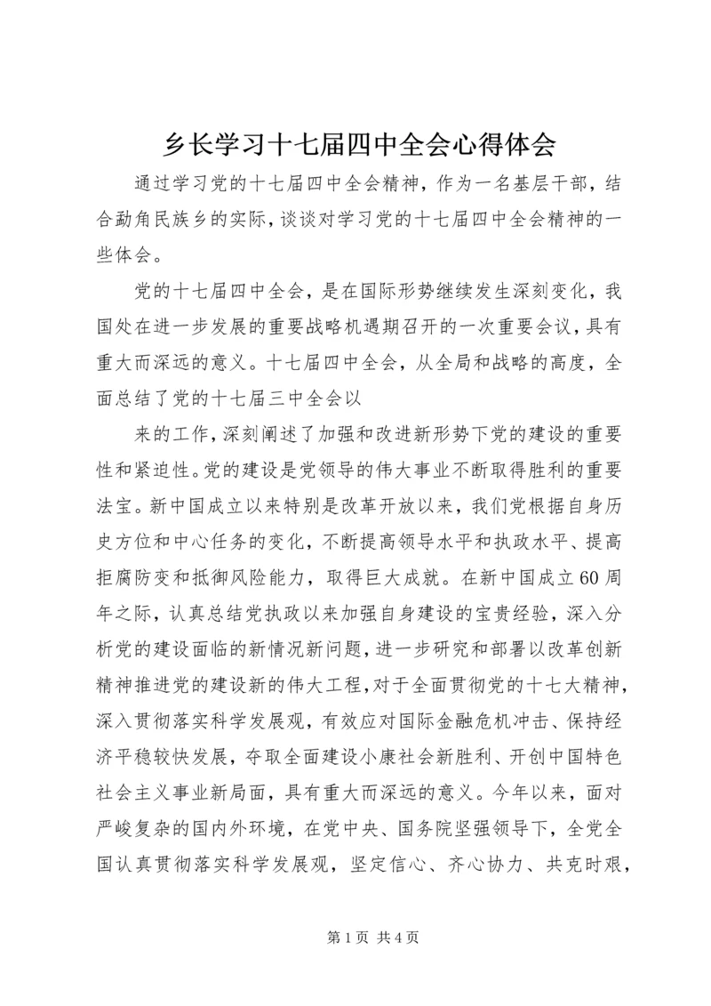 乡长学习十七届四中全会心得体会.docx