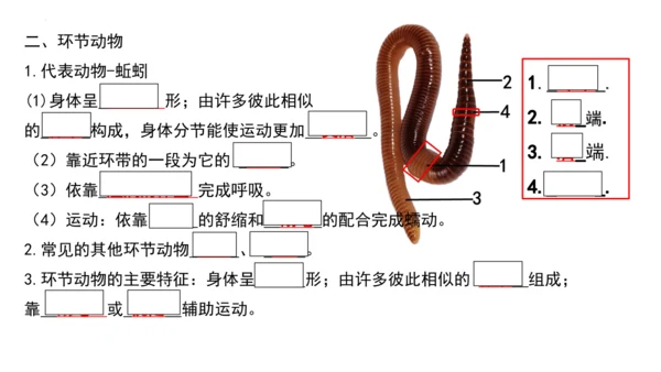 人教版生物八年级上册期末考试知识点汇总（课件）(共28张PPT)