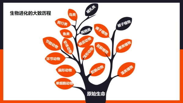 生命起源和生物进化企鹅通用PPT模板