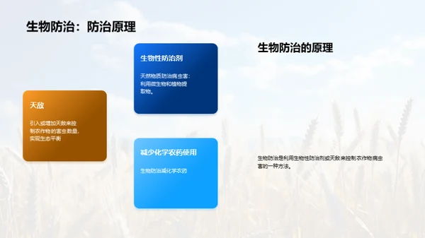 农业种植：智慧之选