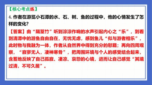 第三单元复习课件 2023-2024学年统编版语文八年级下册(共58张PPT)