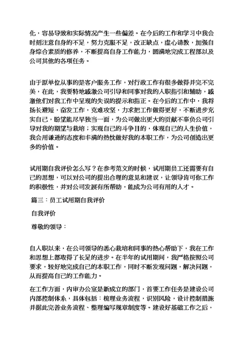 工作总结之试用期满自我总结