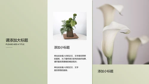 浅绿色极简光影小清新通用PPT演示模板