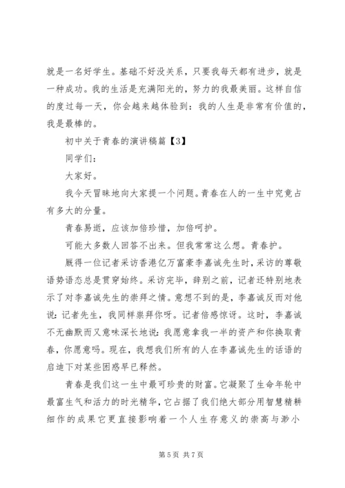 初中关于青春的演讲稿.docx