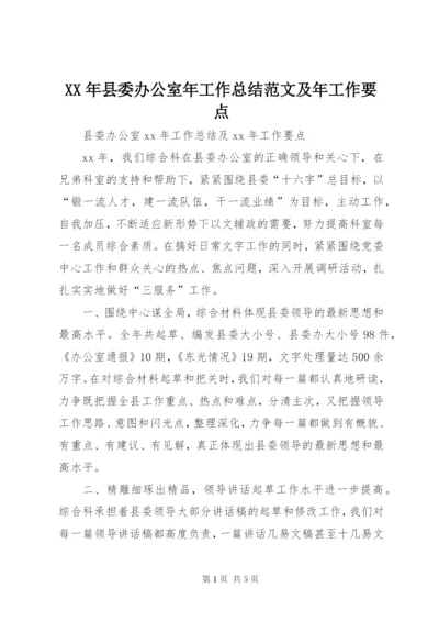 某年县委办公室年工作总结范文及年工作要点.docx