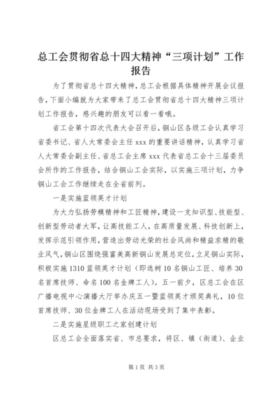 总工会贯彻省总十四大精神“三项计划”工作报告.docx