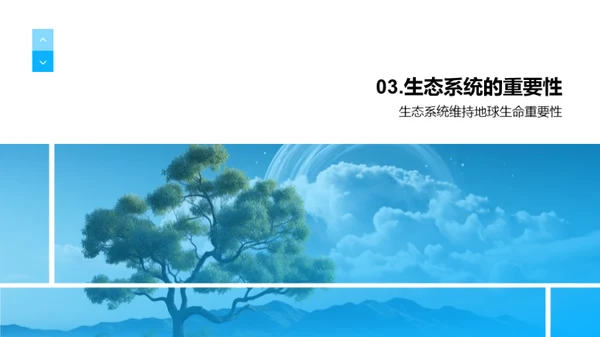 探索生态系统