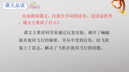 6 夜间飞行的秘密   课件