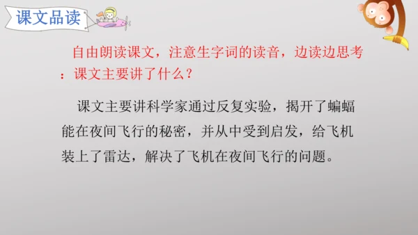 6 夜间飞行的秘密   课件