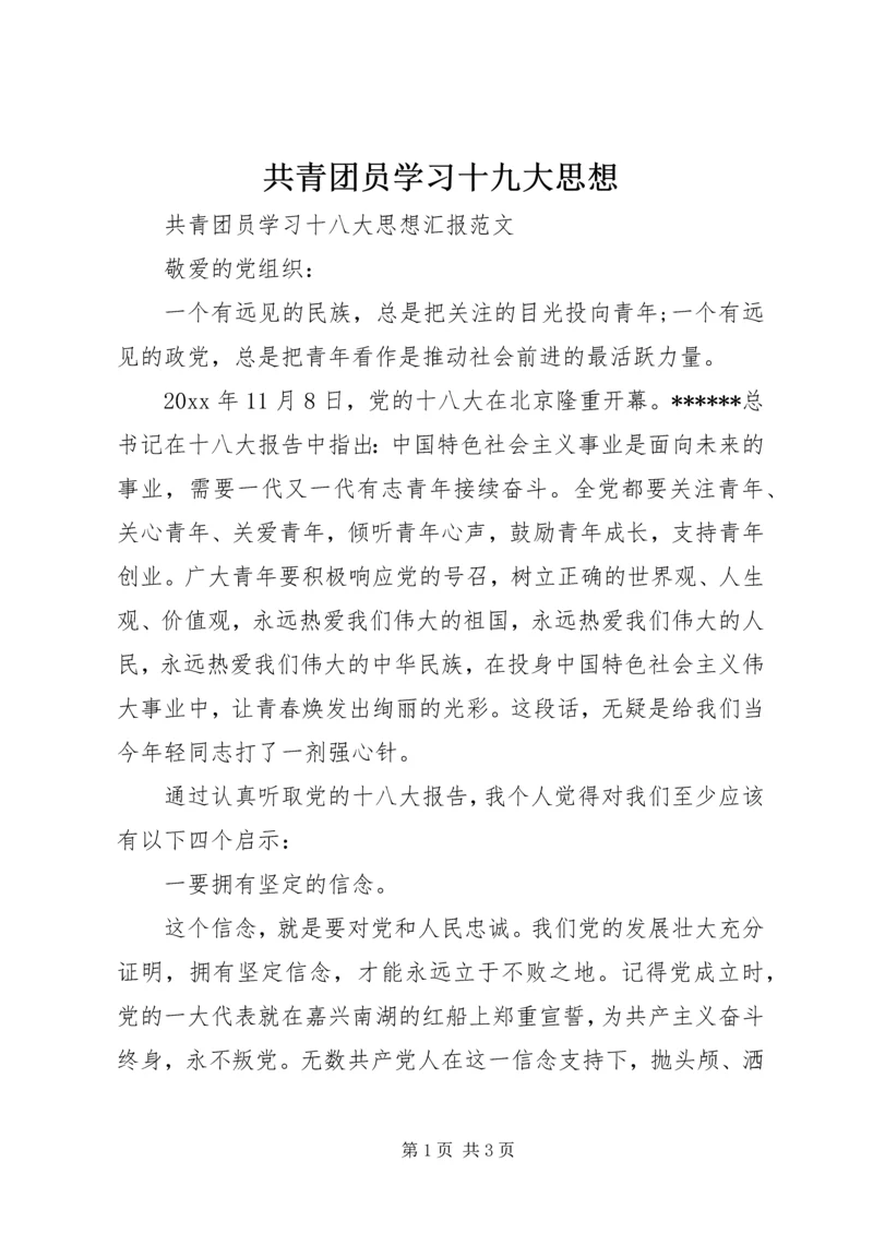 共青团员学习十九大思想.docx