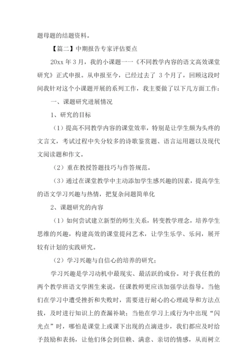 中期报告专家评估要点.docx