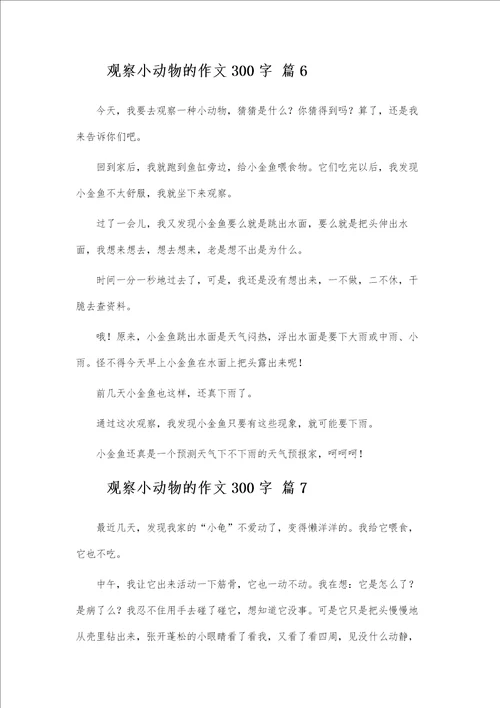 观察小动物的作文300字