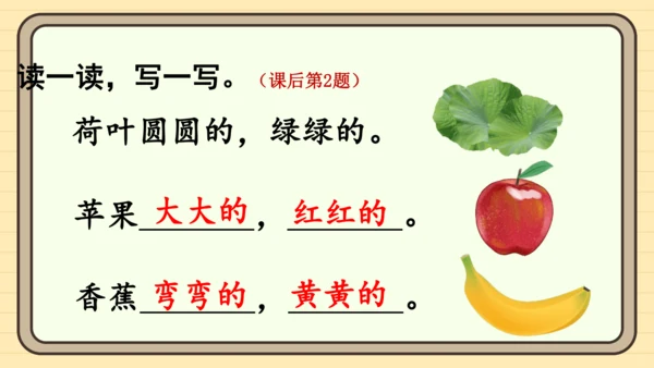 12 荷叶圆圆（课件）