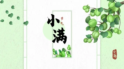 绿色清新小满节气宣传PPT模板