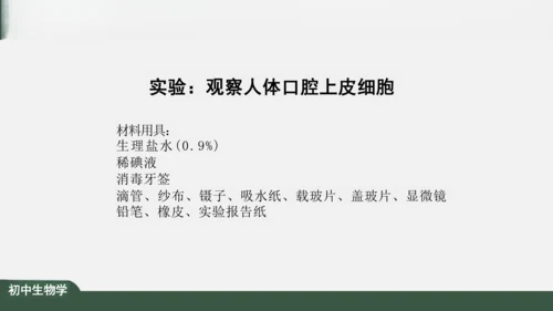 2.1.3 动物细胞 课件（共32张PPT）