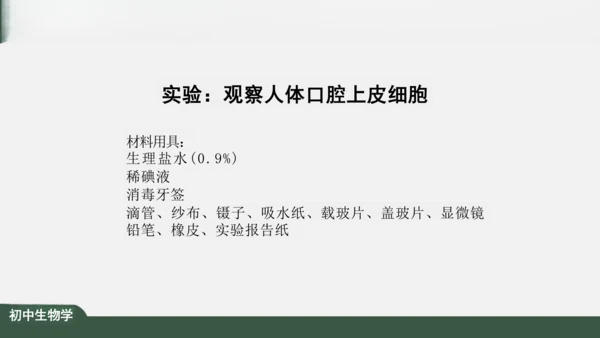 2.1.3 动物细胞 课件（共32张PPT）