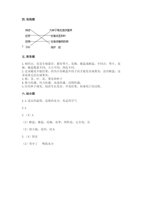 教科版四年级下册科学第一单元《植物的生长变化》测试卷（能力提升）.docx