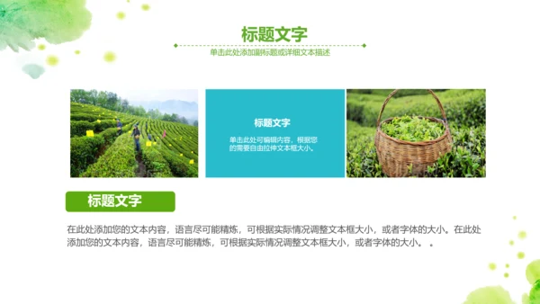 绿茶红茶茶叶茶厂茶文化茶道春茶PPT模板