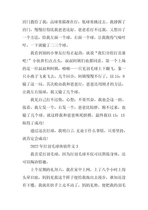 2022年打羽毛球体验作文