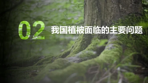 3.6 爱护植被，绿化祖国2023-2024学年七年级生物上册精品课件（人教版）(共21张PPT)