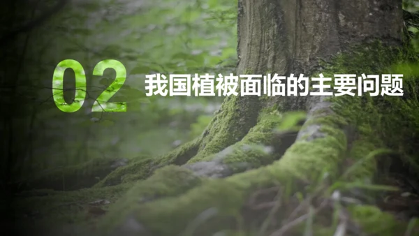 3.6 爱护植被，绿化祖国2023-2024学年七年级生物上册精品课件（人教版）(共21张PPT)